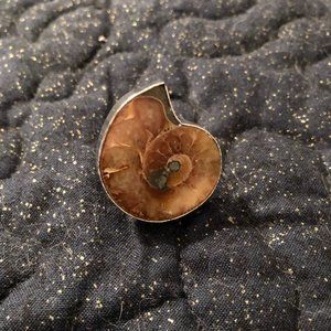 Ammonite Fossil Adjustable Ring